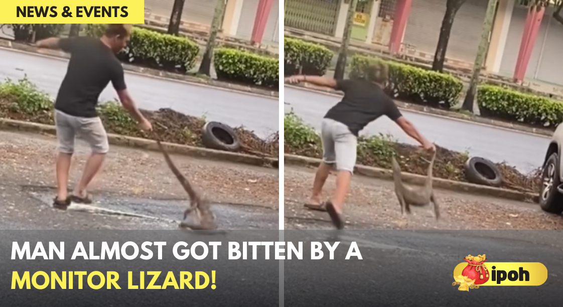 Man Almost Got Bitten By A Monitor Lizard!